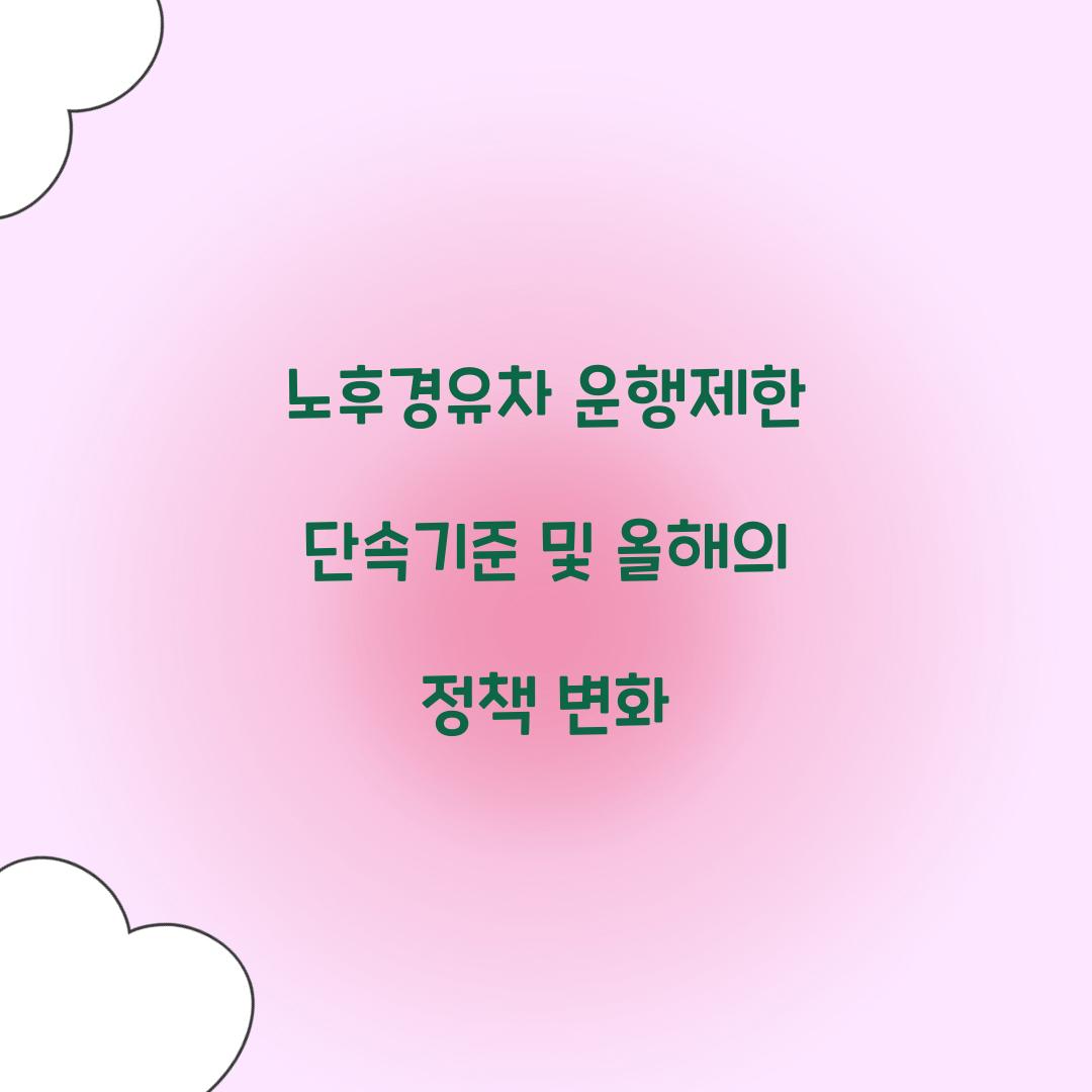 노후경유차 운행제한 단속기준