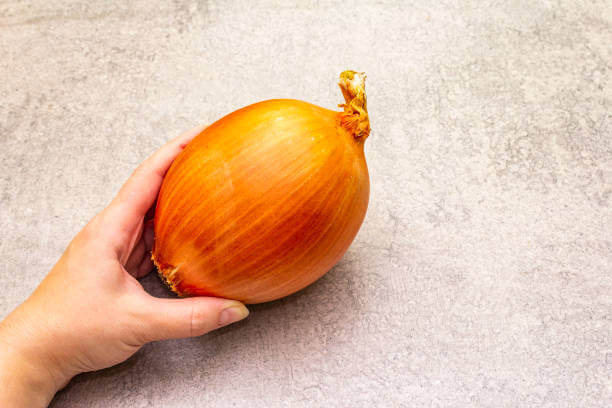 양파 껍질차 효능, 양파껍질에는 어떤 성분이 함유되어 있길래 인체에 좋은 지 알아봤습니다. 양파껍질은 무심코 그냥 버리는데 이제부터는 잘 모아서 양파껍질차로 만들어보세요! 또한 양파껍질로 어떤 활용도가 있고 부작용이 무엇인지 읽어 보시기 바랍니다.