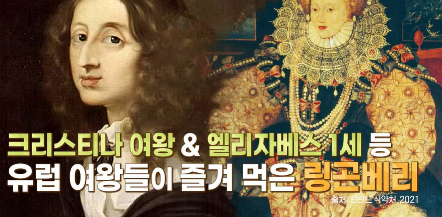 링곤베리