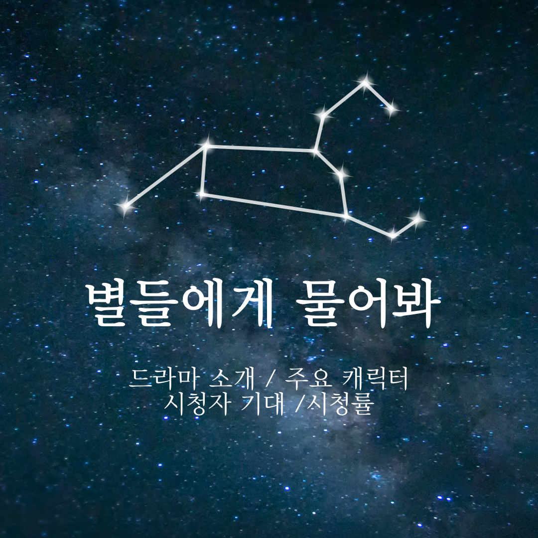 별들에게 물어봐