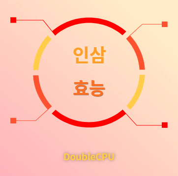 인삼 효능