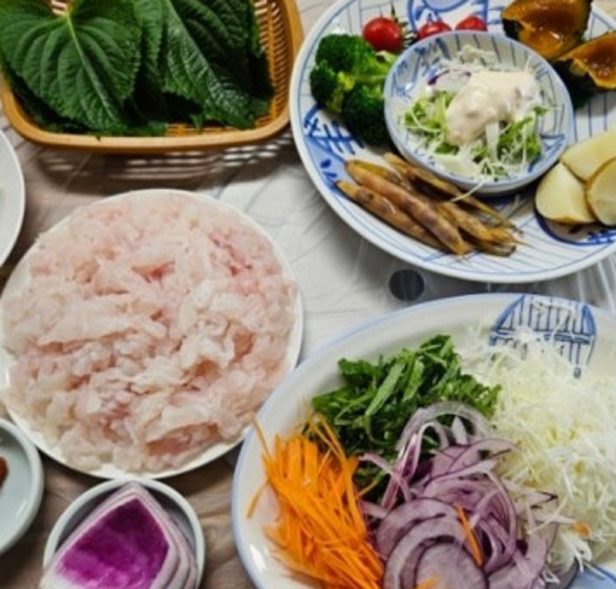 한국기행-고성-갯장어-차태수-20년-횟집