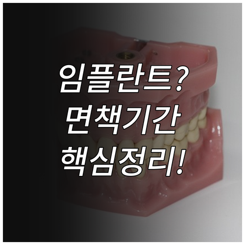 치아보험 임플란트 보철 특약 면책 감..
