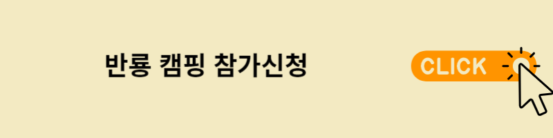 반룡캠핑 참가 신청