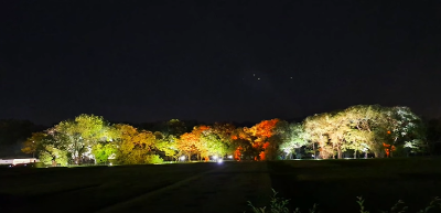 경주여행_1박2일