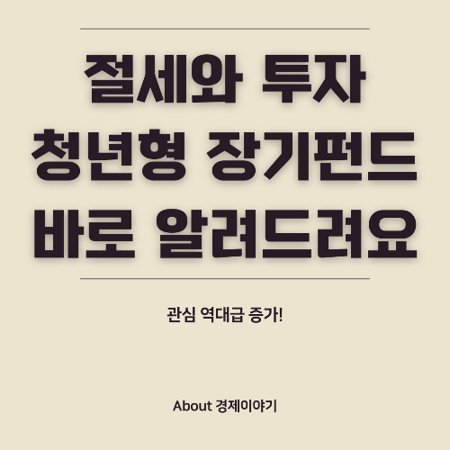 장기집합투자증권저축(청년 장기펀드)