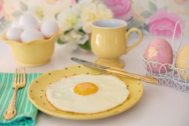대체 단백질의 단점: 장기적인 건강 위험 요소는?