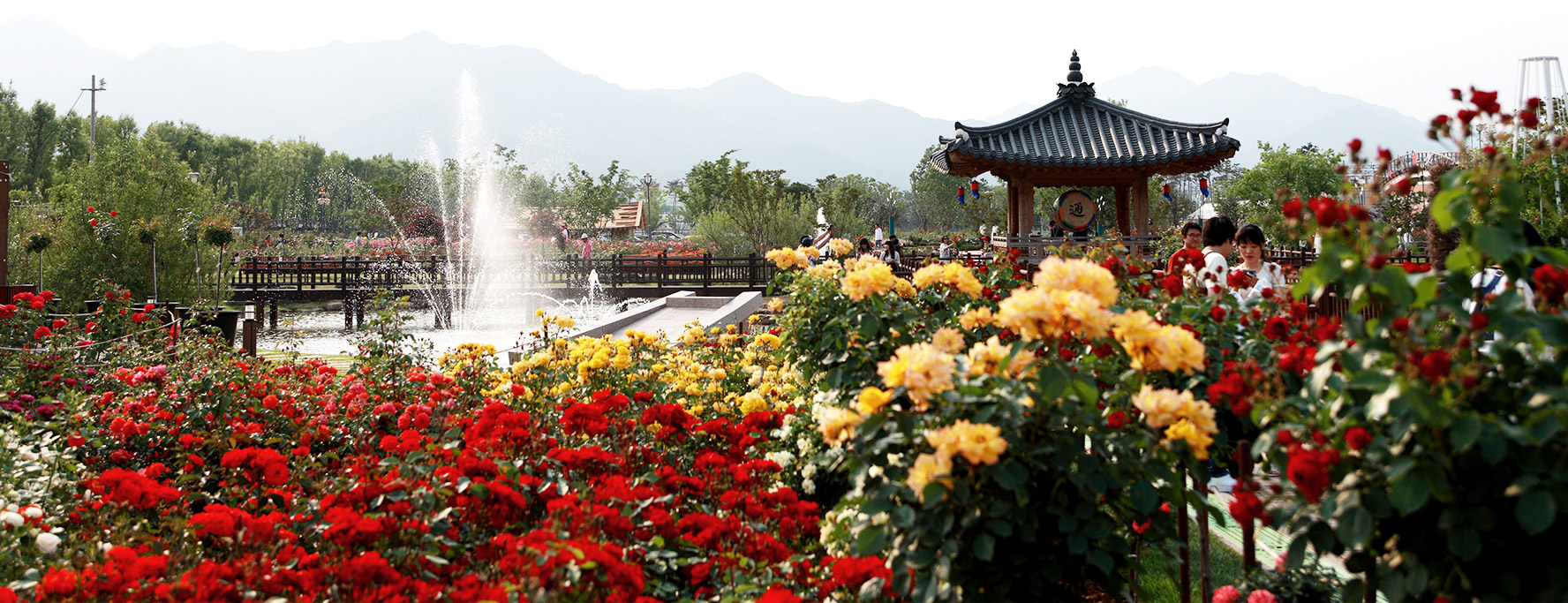 곡성 세계장미축제