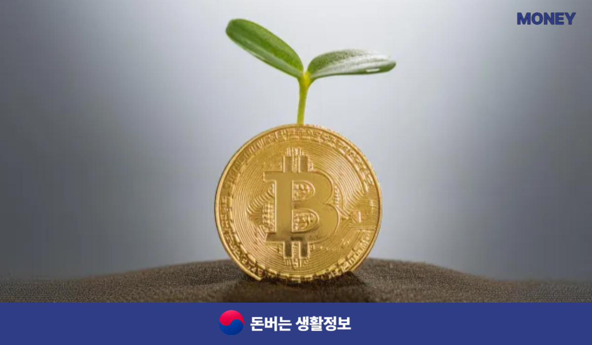 스벅 생일쿠폰