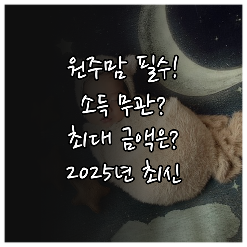2025년 원주시 산후조리비 지원 사..