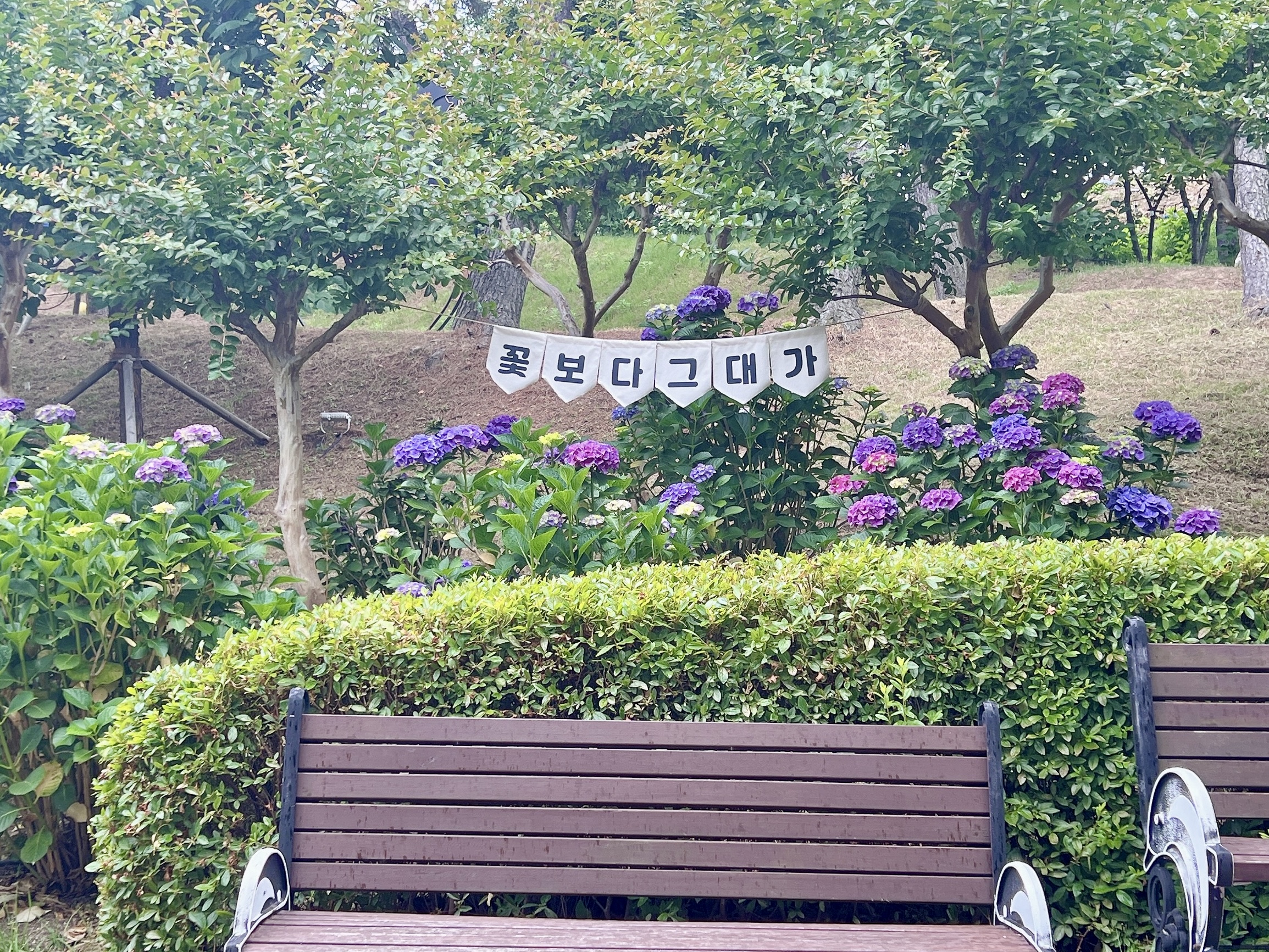 #장생포수국축제
#울산수국축제
#고래문화마을
#울산장생포가볼만한곳
#장생포포토존
#고래광장수국길
#오색수국정원
#수국축제개화상황2025
#수국사랑상품권사용처
#울산6월축제
#장생포여행코스
#울산플리마켓체험
#울산데이트코스
#울산여행추천
#장생포주차정보
#수국포토존
