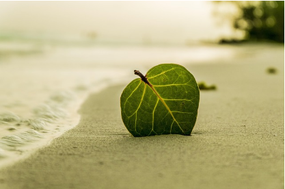 탈모치료 미녹시딜 vs 피나스테리드&amp;#44; 후기 중심 비교 리뷰