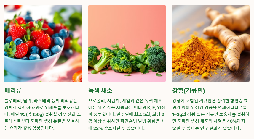 항산화 음식