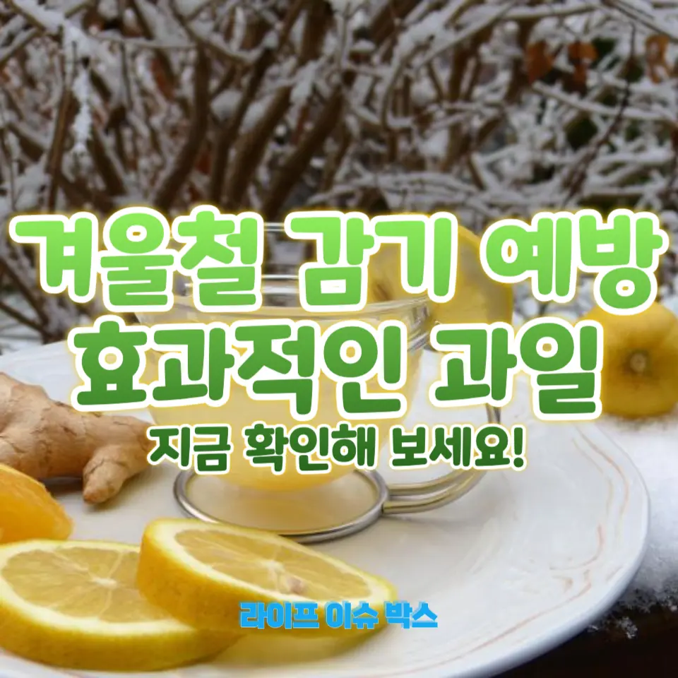 겨울 감기 예방!