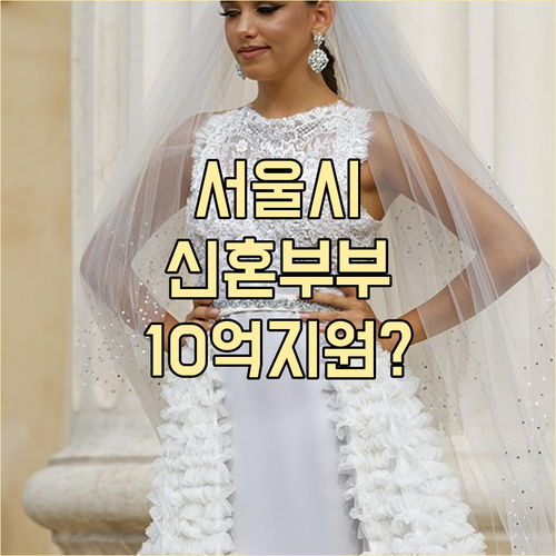 서울시, 신혼부부 경제적 부담 완화 ..