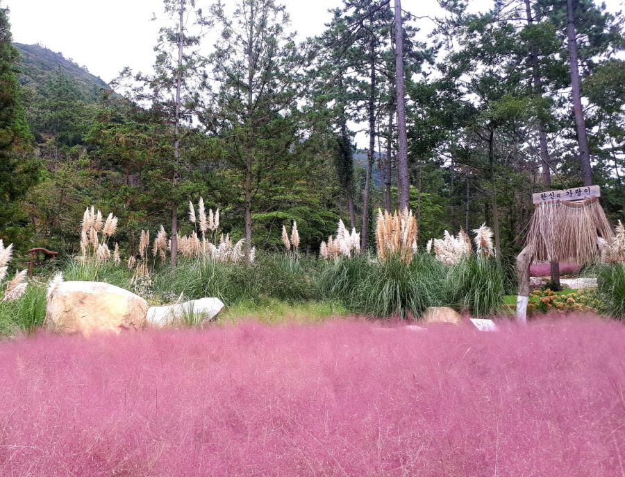 포레스트수목원