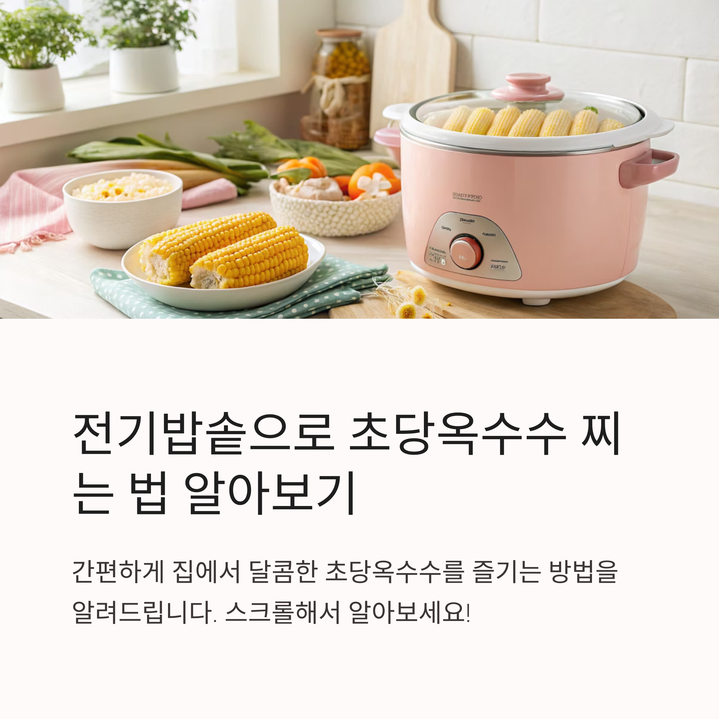 초당옥수수 찌는법 전기밥솥 활용