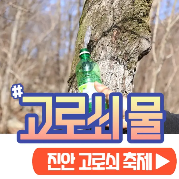 고로쇠 물 진안고원 운장산 고로쇠 축제