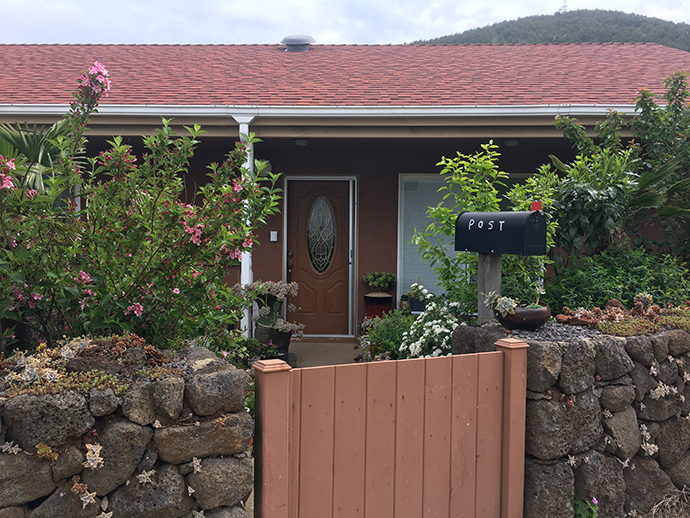 금오름-가는길4