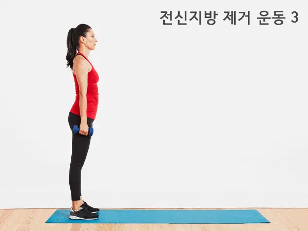 전신지방 태우는 운동 다이어트 하루5분운동