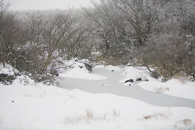 한파 뜻과 원인 총정리 - 한파주의보·한파경보 기준과 대비 방법