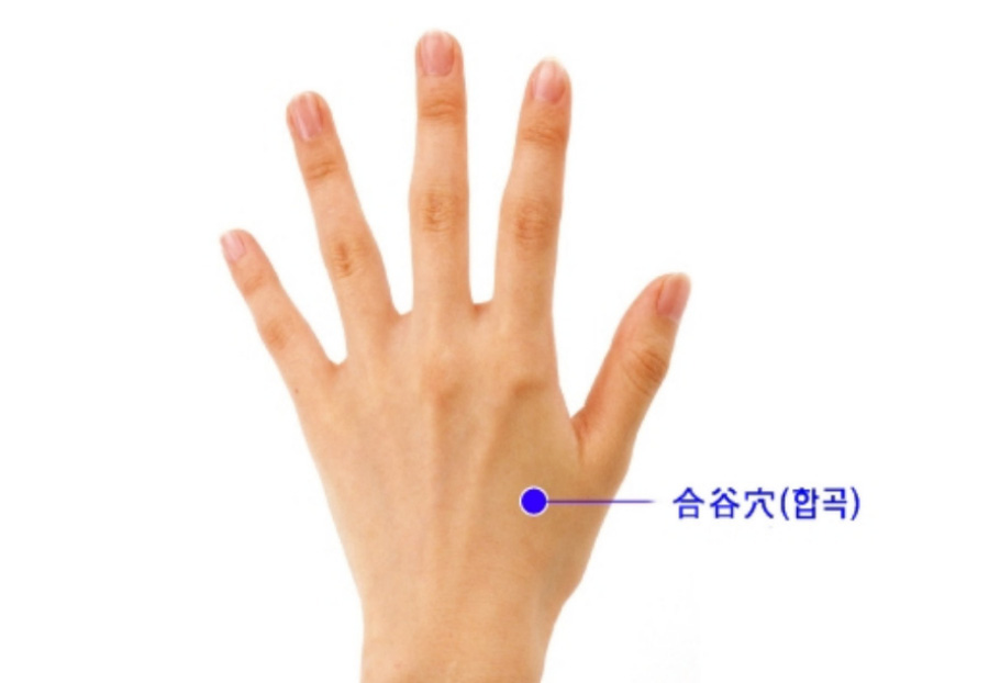 인체의 365혈 중에서 양쪽 엄지손가락과 검지손가락 사이에 옴폭 들어간 곳에 위치한 합곡혈을 찍은 사진