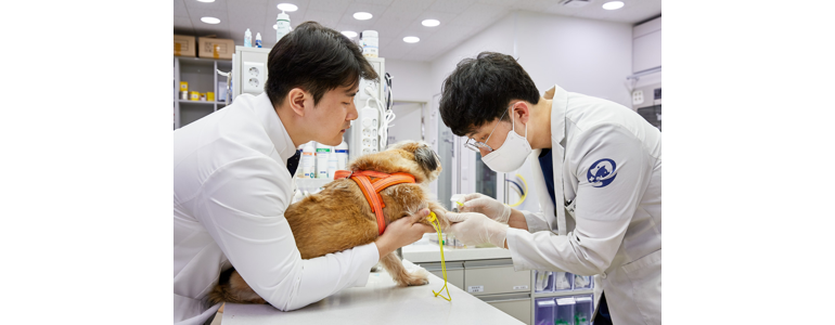 평택시 동물병원