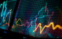 금양 주가 전망, 금양 거래정지, 코스피200 퇴출 확정