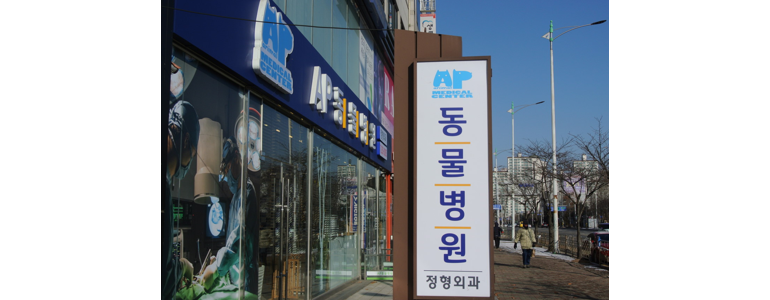 용인 수지구 동물병원