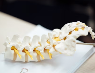 만성요통 원인 초기 증상 예방 운동법