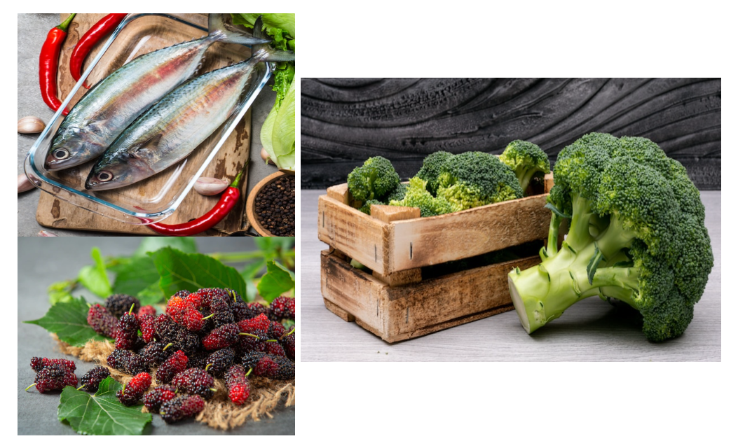 노안에 좋은 음식인 고등어, 오디, 브로콜리