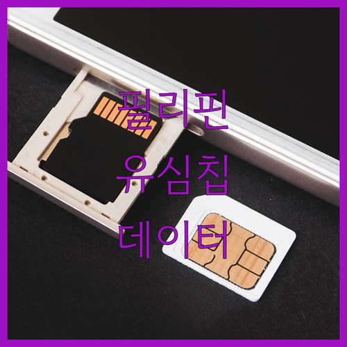 필리핀 유심칩으로 어디서든 데이터 걱