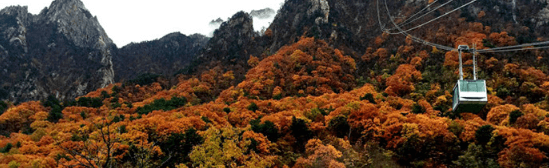 단풍여행 당일 단풍버스여행