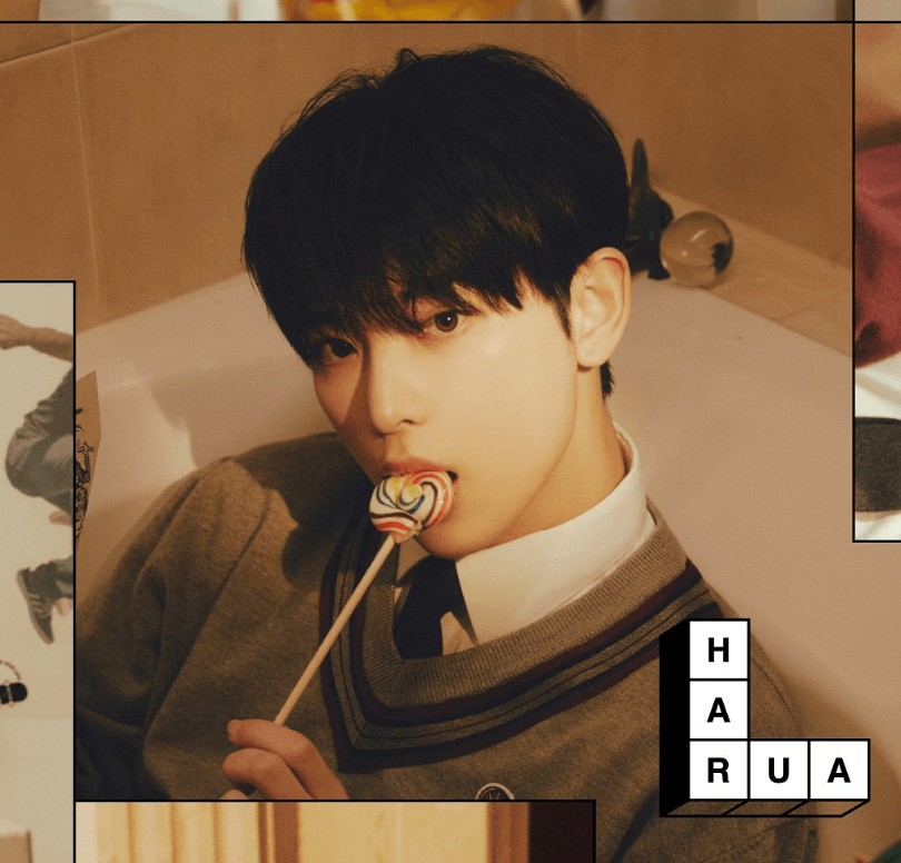 하이브 앤팀 멤버 하루아