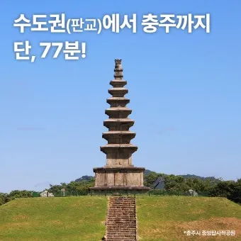 충주 가볼만한곳 베스트10 완벽 관광 가이드_21