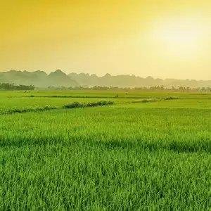 양곡관리법 개정안