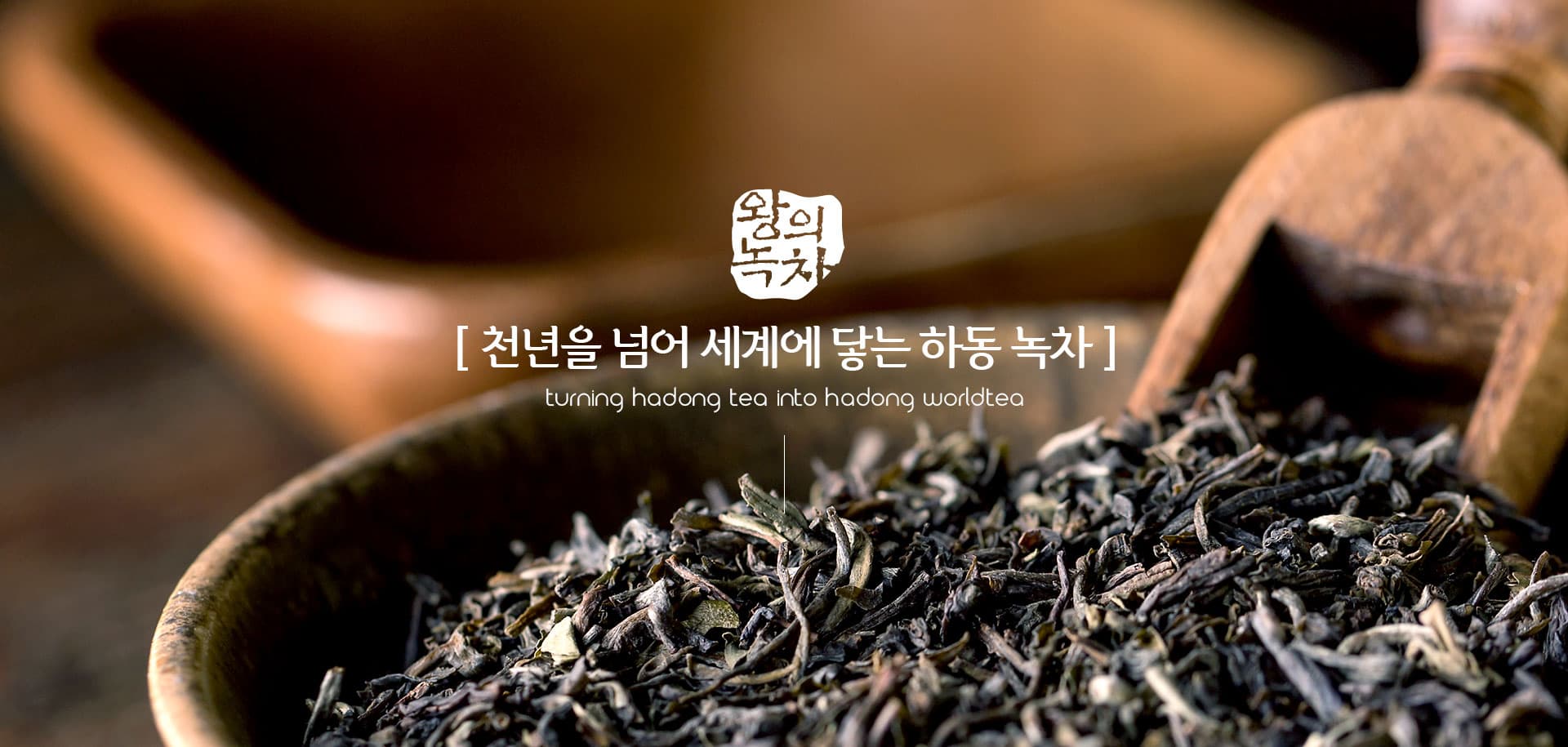 [5월 축제]2025 하동야생차문화축제❘기간, 일정, 체험 프로그램, 공연 정리