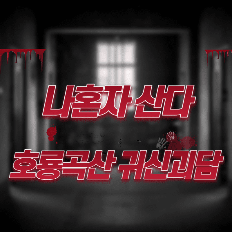 나혼자 산다 호룡곡산 귀신괴담