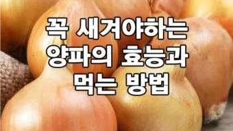 양파 먹는 방법과 양파 효능 양파 부작용 완전 가이드_23