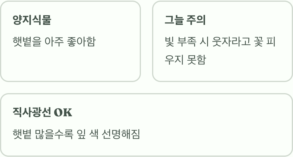 최고의 명당, '햇볕'과 '바람'