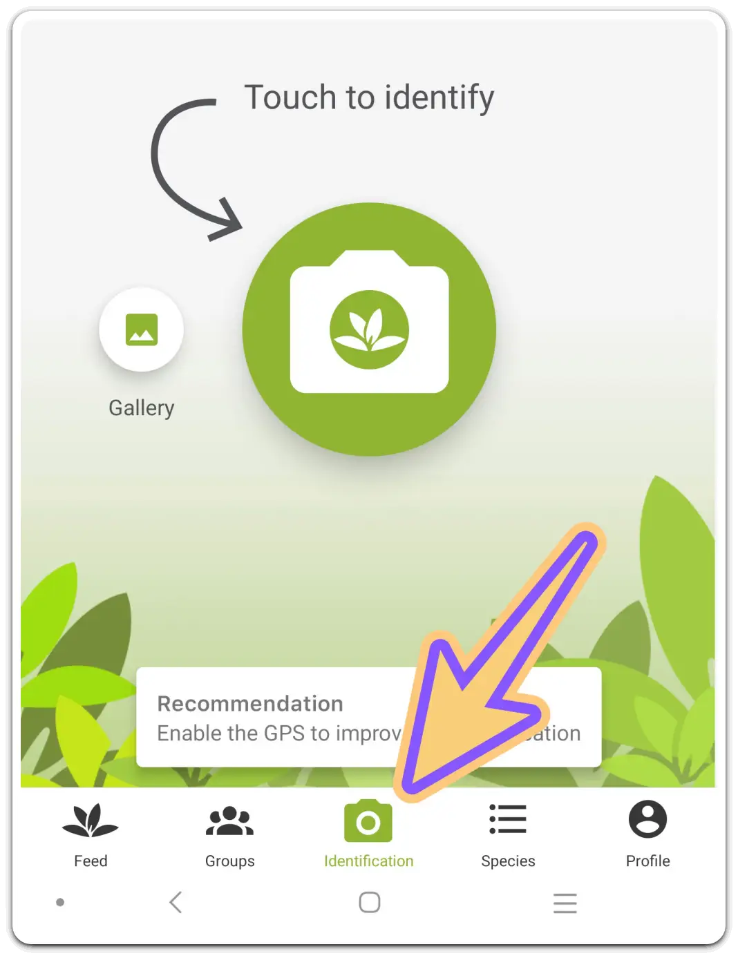 꽃-화초-이름-검색-찾기-무료-어플