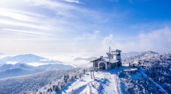 용평 리조트 스키장