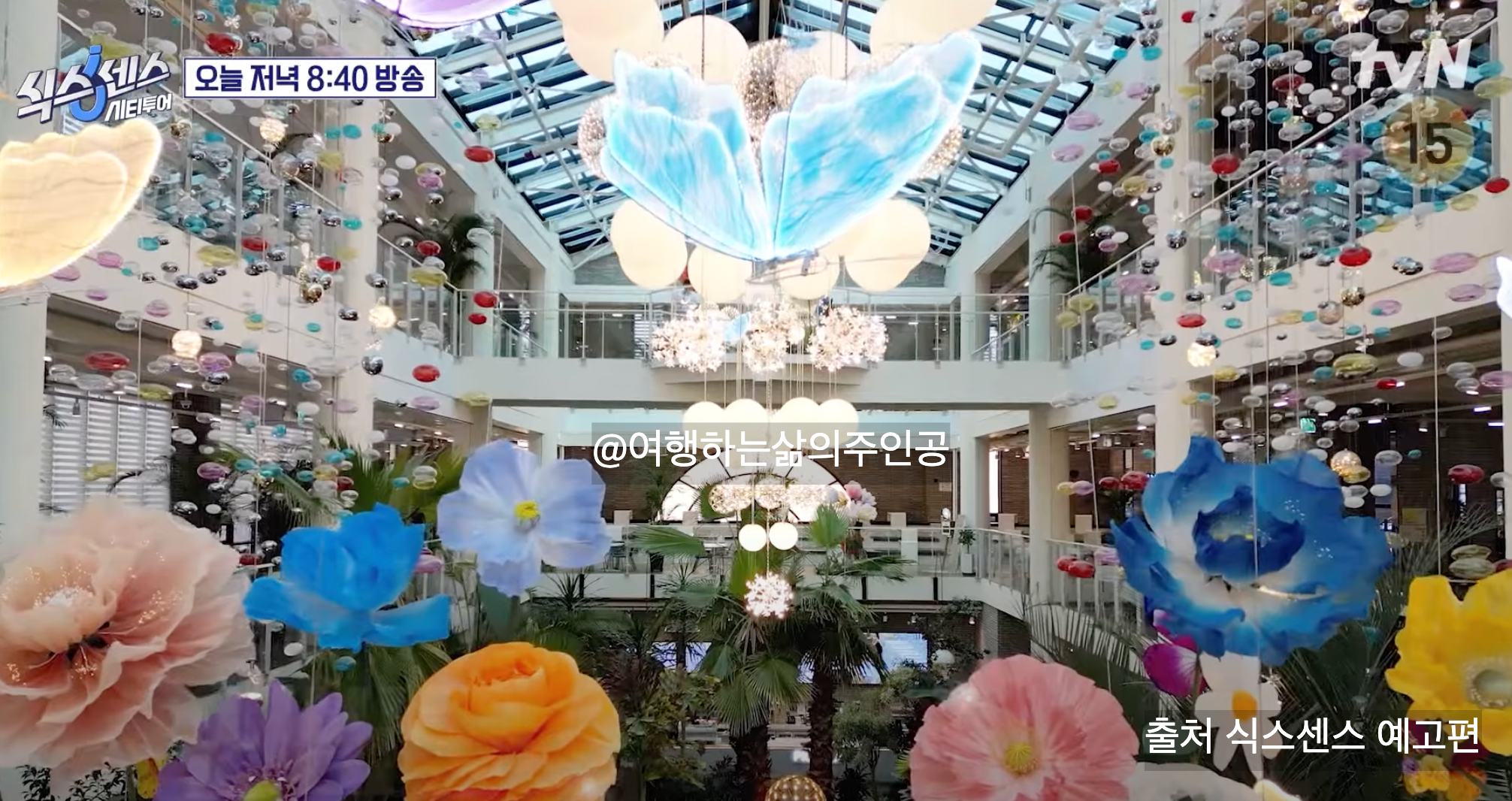 식스센스 시티투어 인천 여행 코스 식물원 카페 대형 베이커리 빵집 튀김 족발 맛집 위치 정리