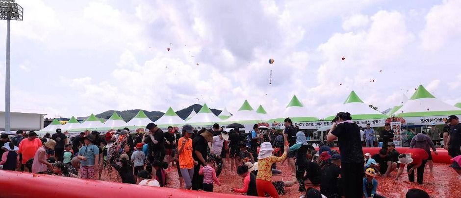 2025 둔내 고랭지 토마토 축제 – 강원도 횡성의 여름 대표 축제 관련 사진