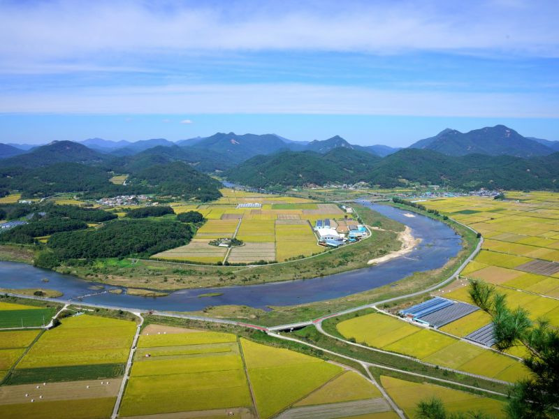 용궐산