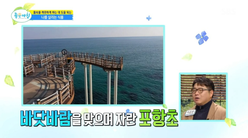 활성 산소 독소 배출 해독 팥 포항초