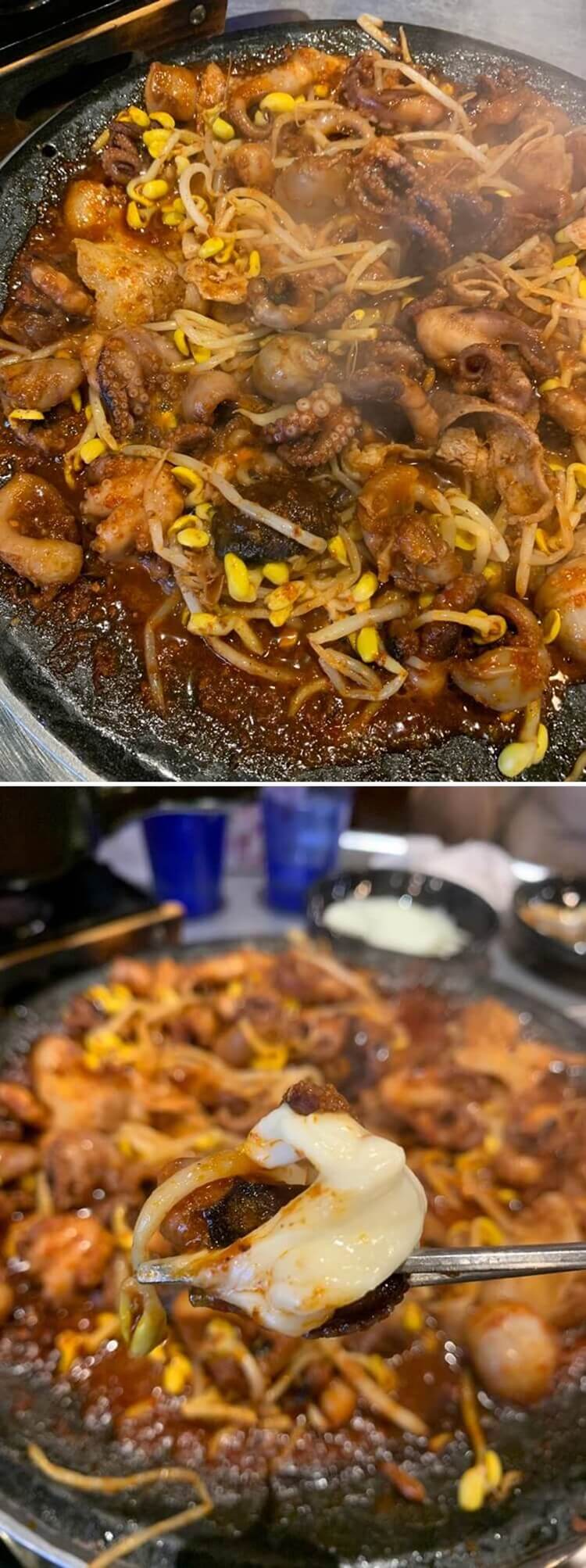 신선한 쭈꾸미 모습