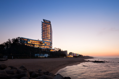 2025 강릉 경포 벚꽃축제