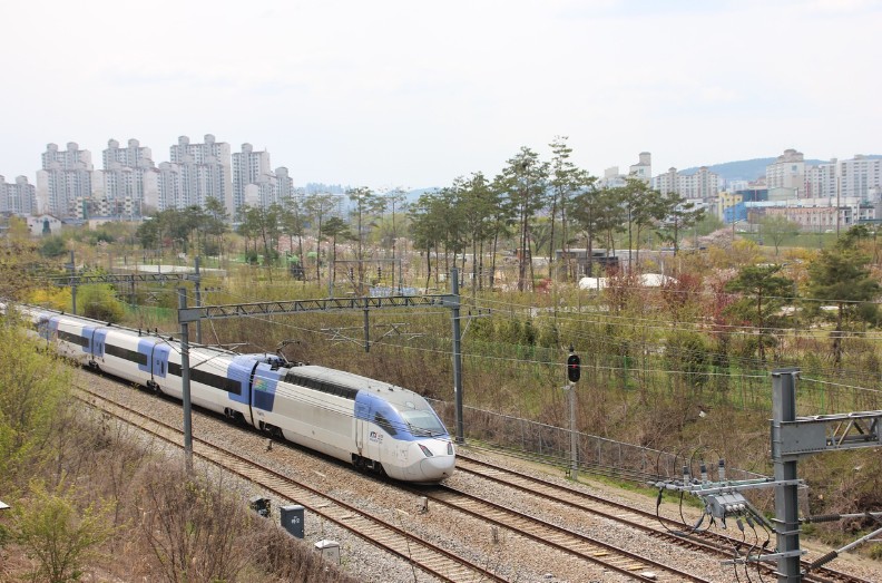 KTX 무궁화호 관광열차, 봄 여행 노선 추천