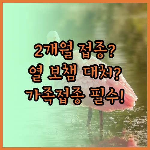 생후 2개월 DTaP 접종 후 열 보..